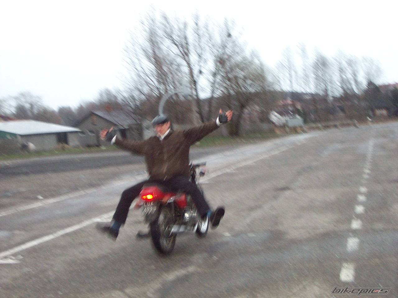 Photo 136725