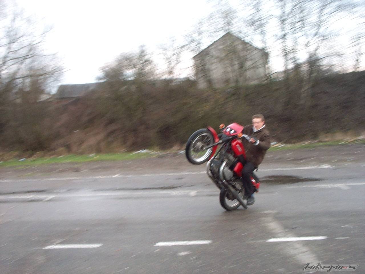 Photo 136727