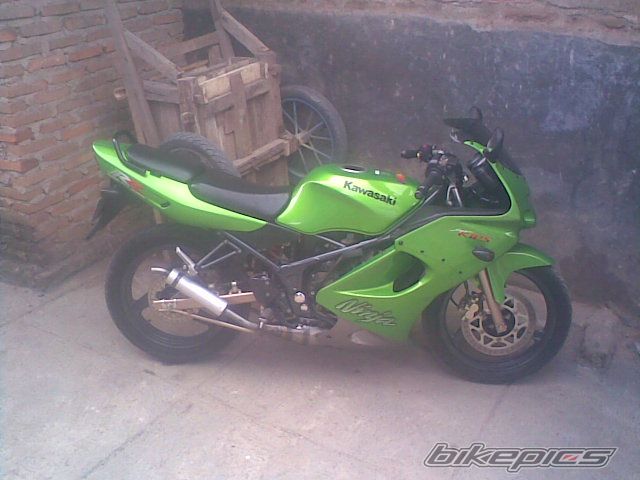 Photo 1367279
