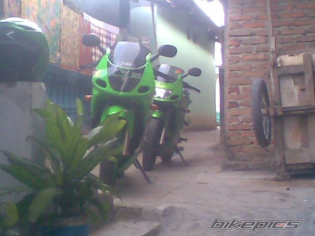 Photo 1367284