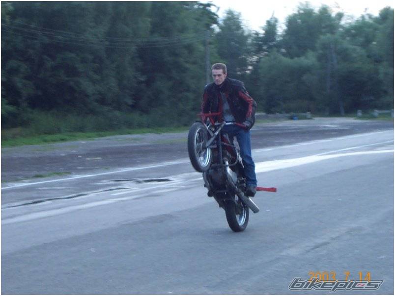 Photo 136739