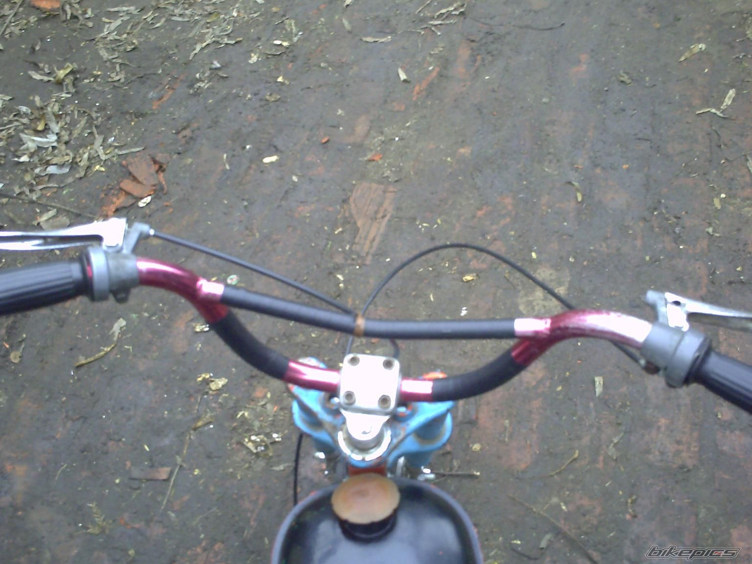 Photo 1367463