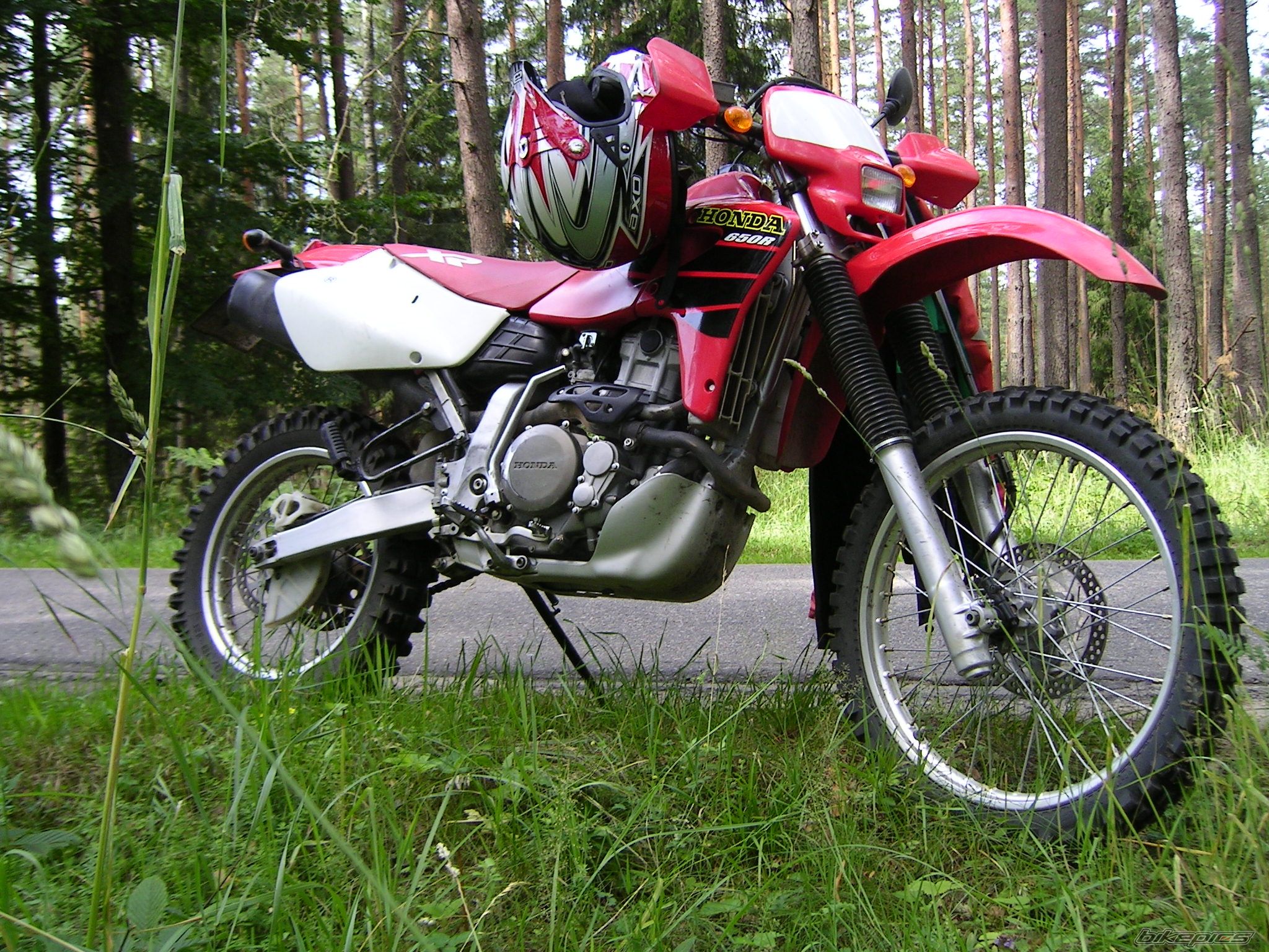 Photo 1367499