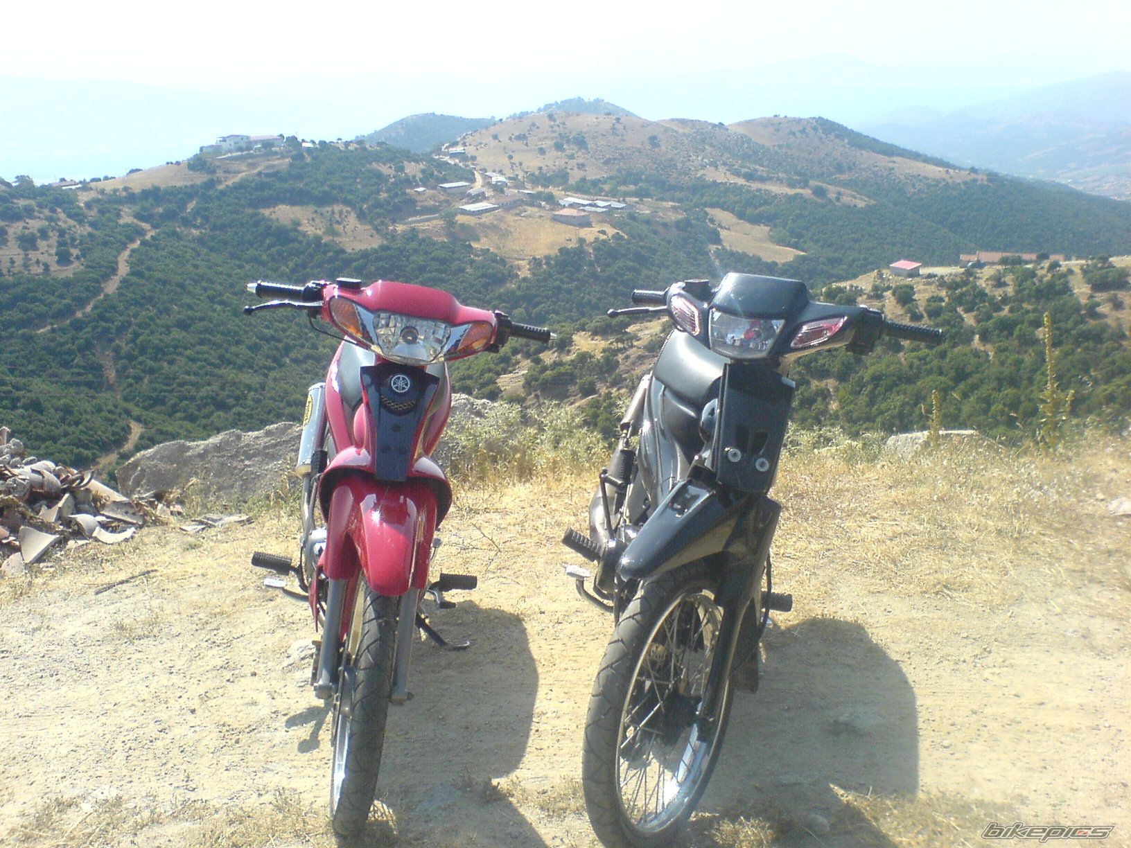 Photo 1367648