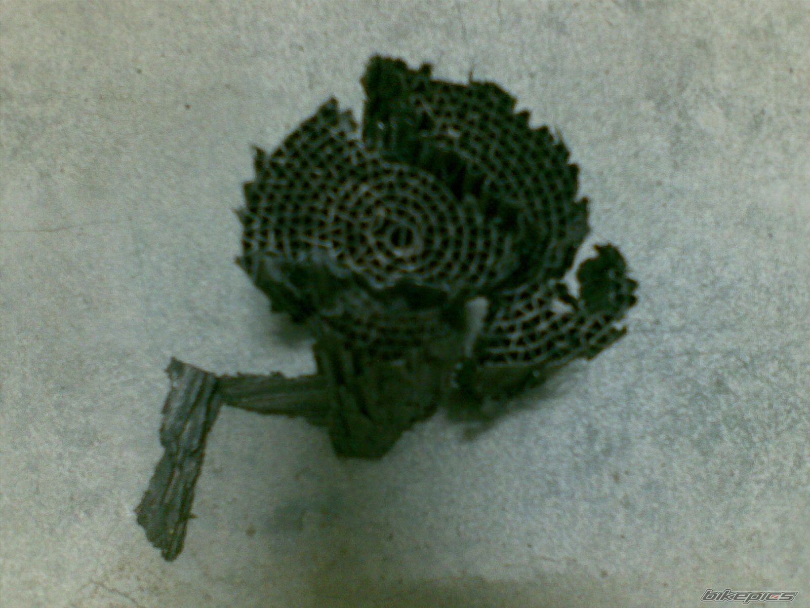 Photo 1367676