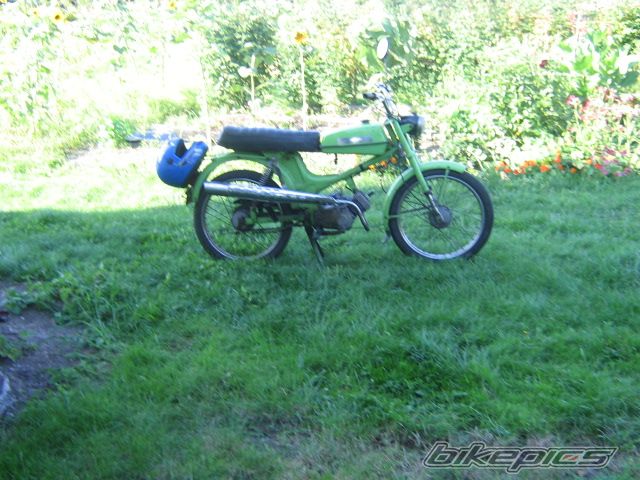 Photo 1367856