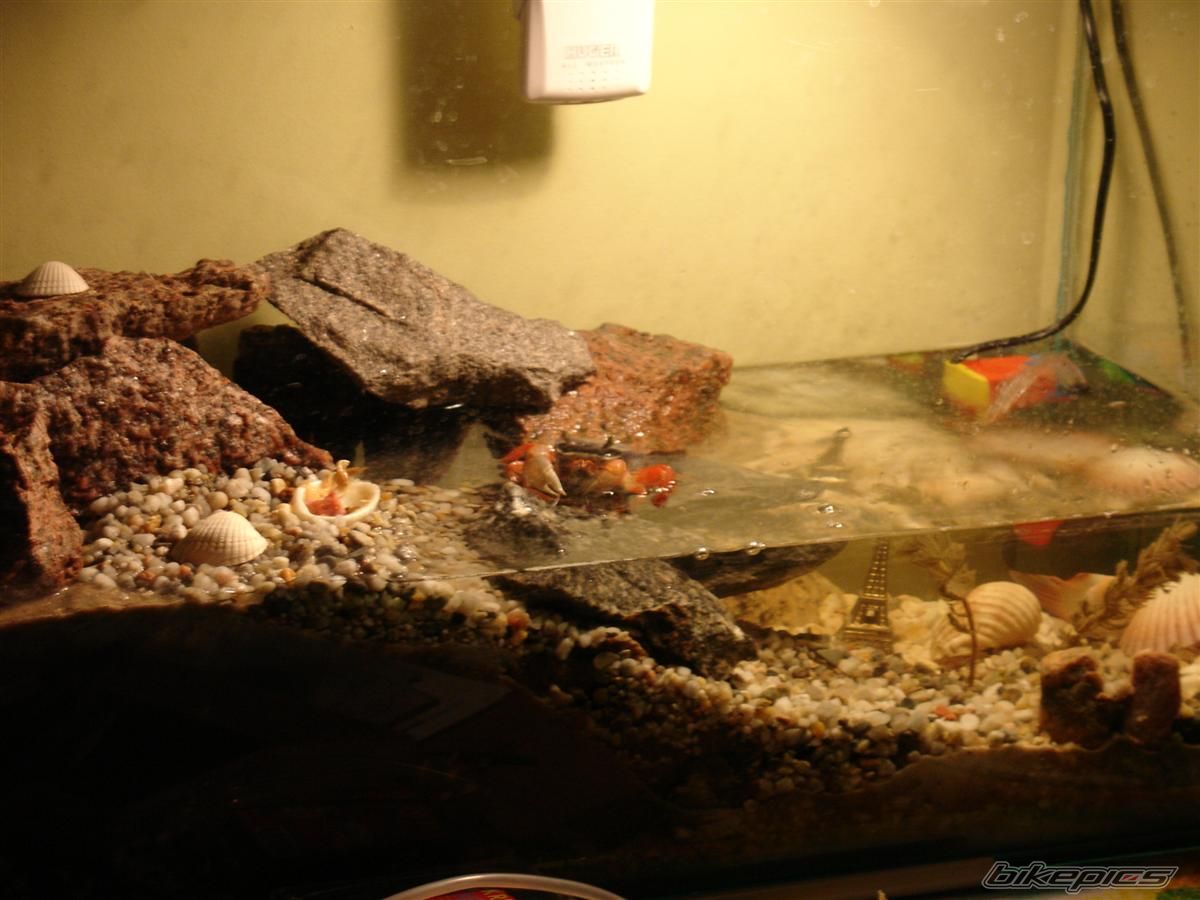 Photo 1367945