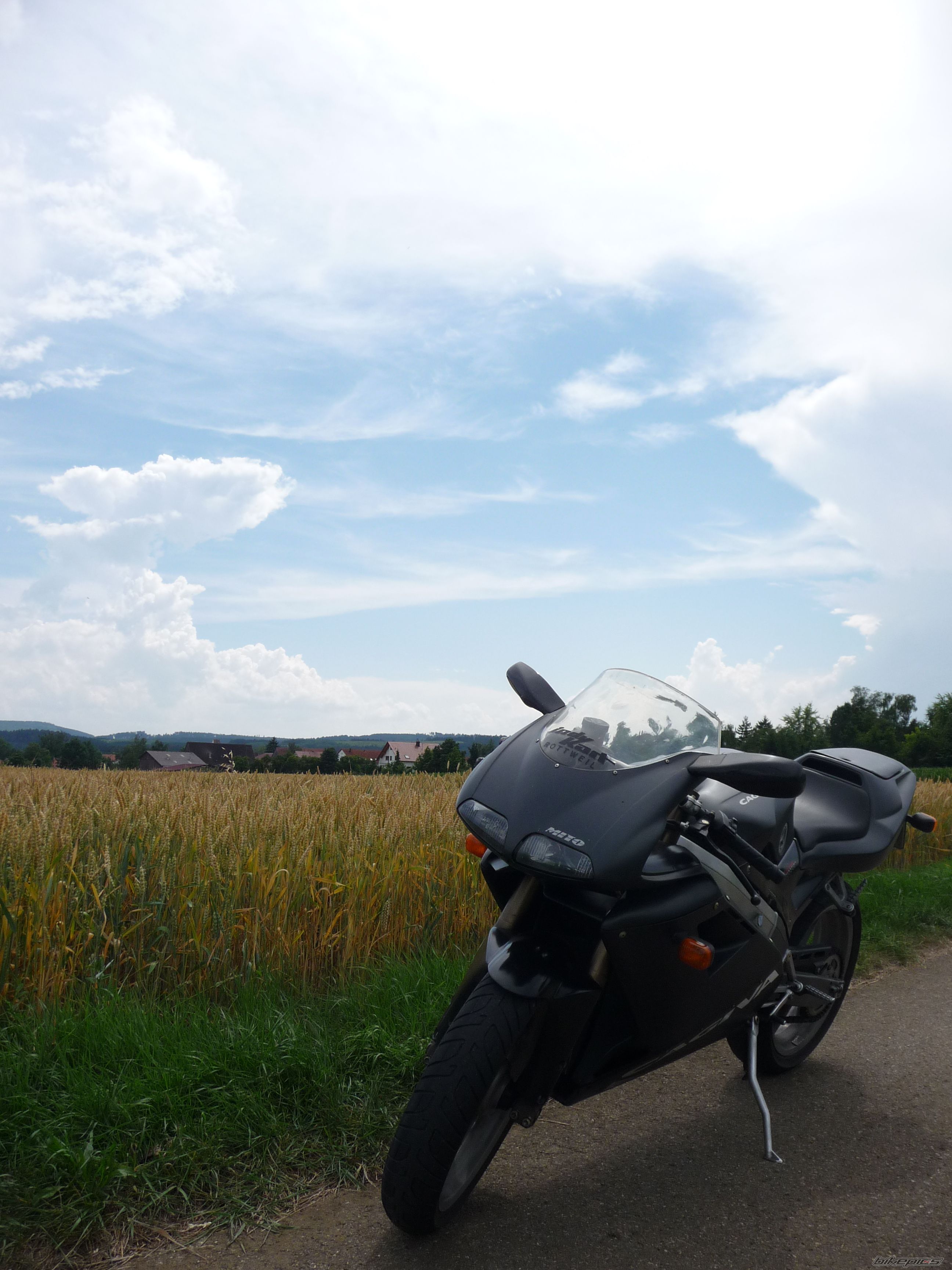 Photo 1368037