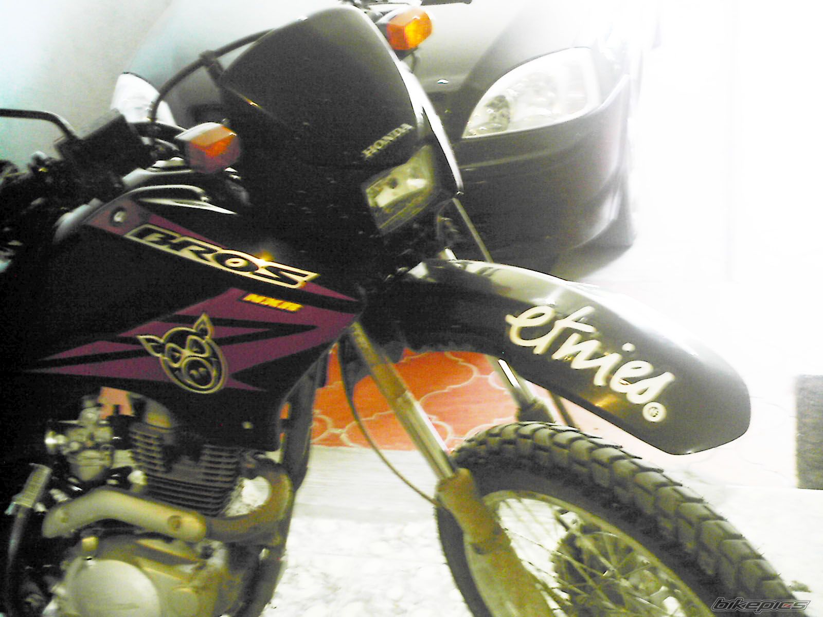 Photo 1368043