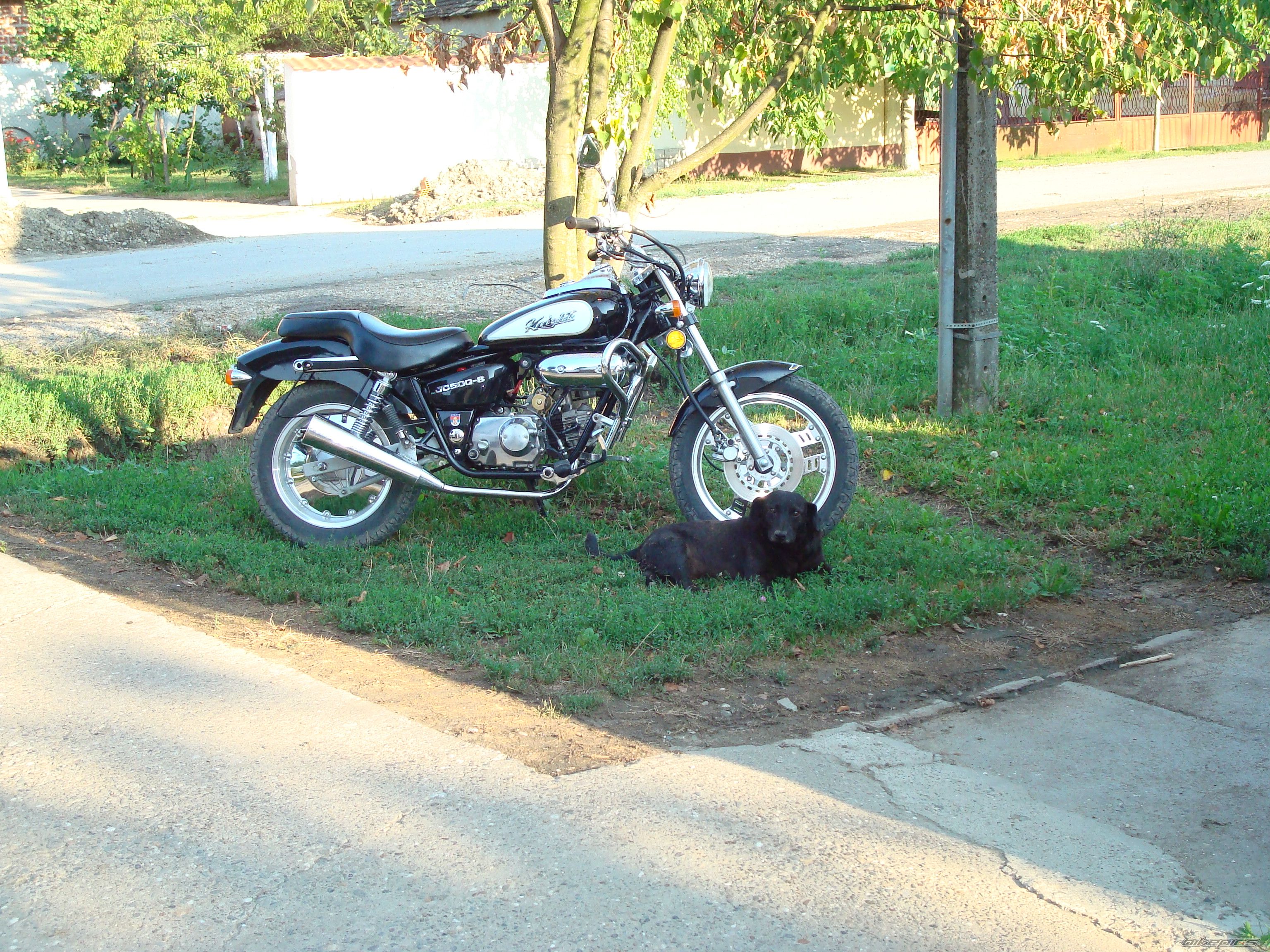 Photo 1368065