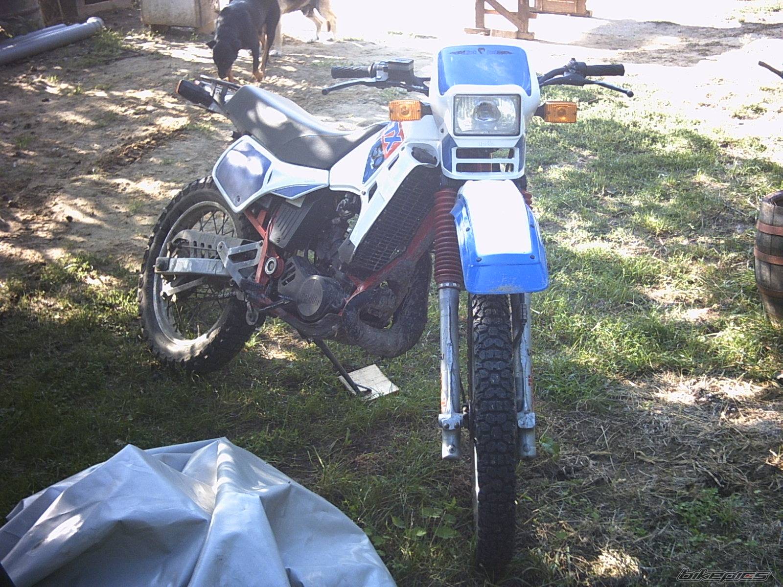 Photo 136808