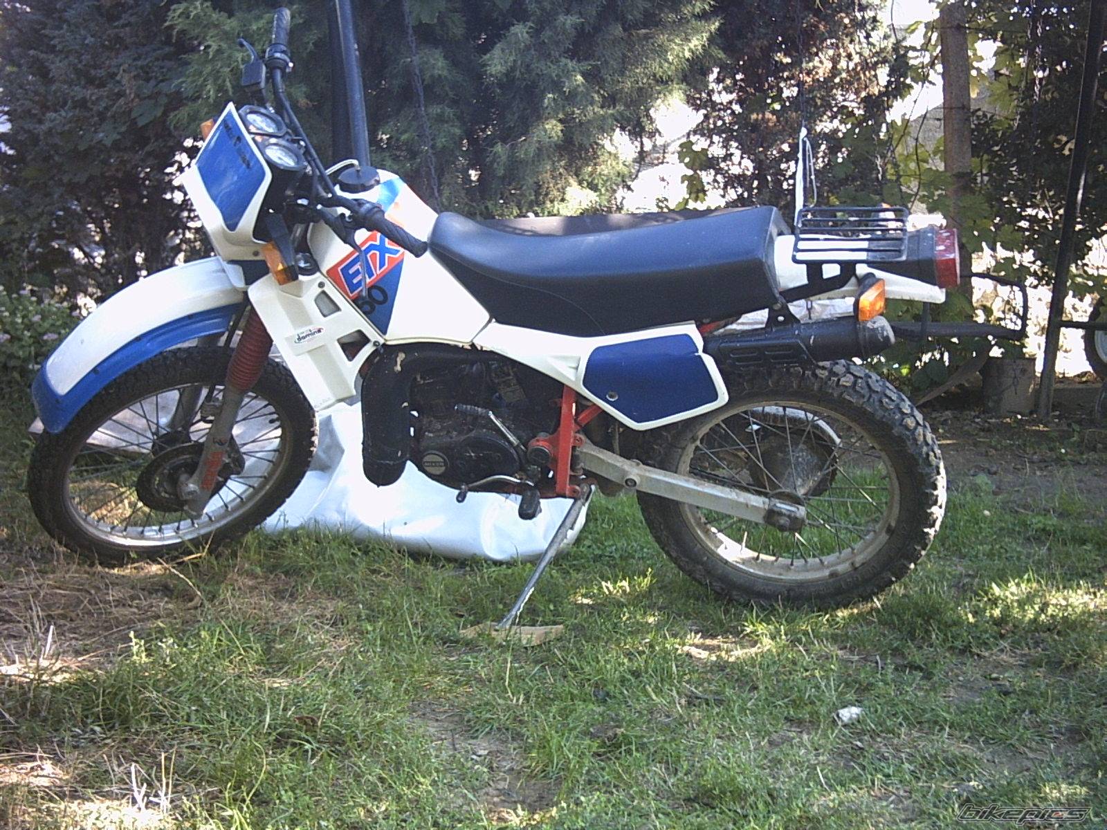 Photo 136809