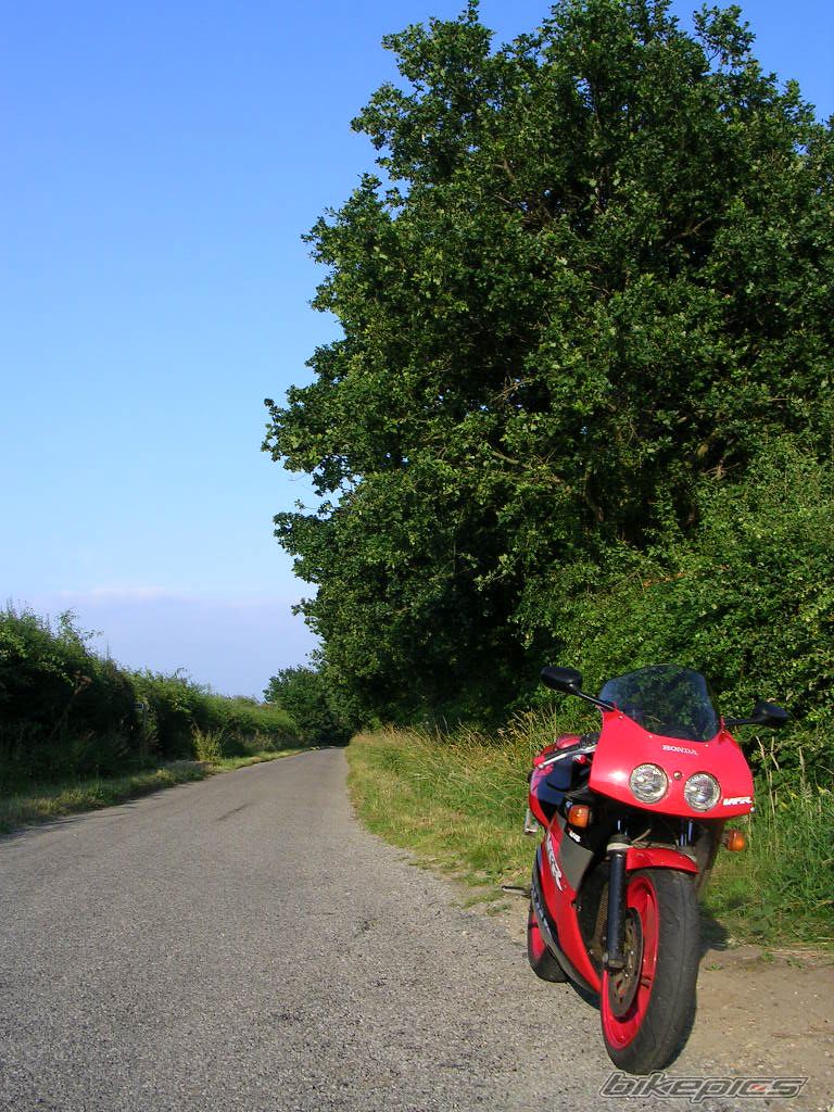 Photo 1368128