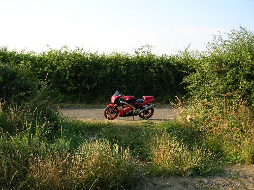 Photo 1368130