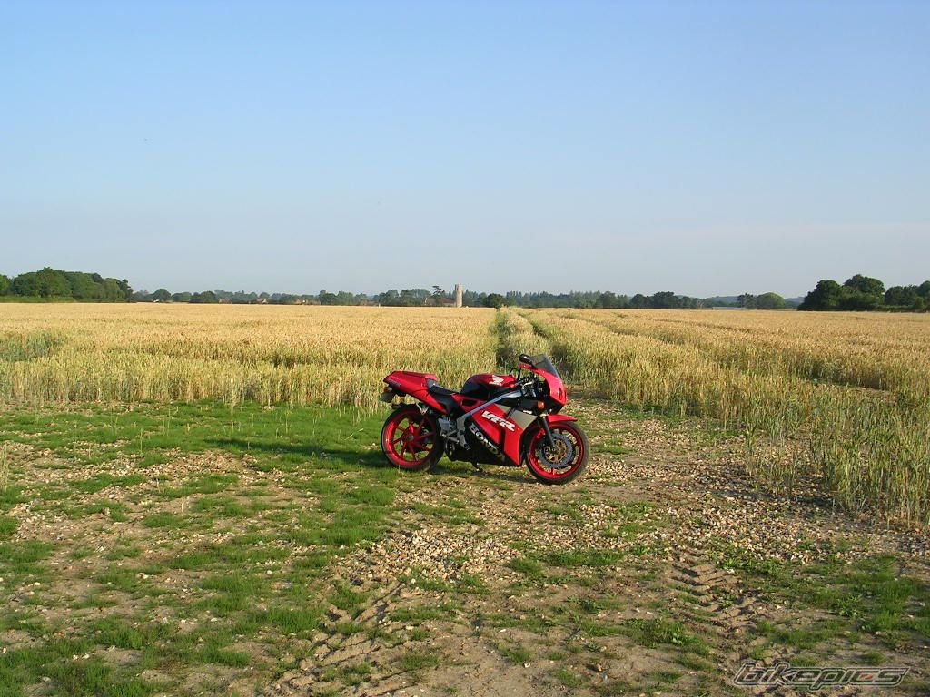 Photo 1368132