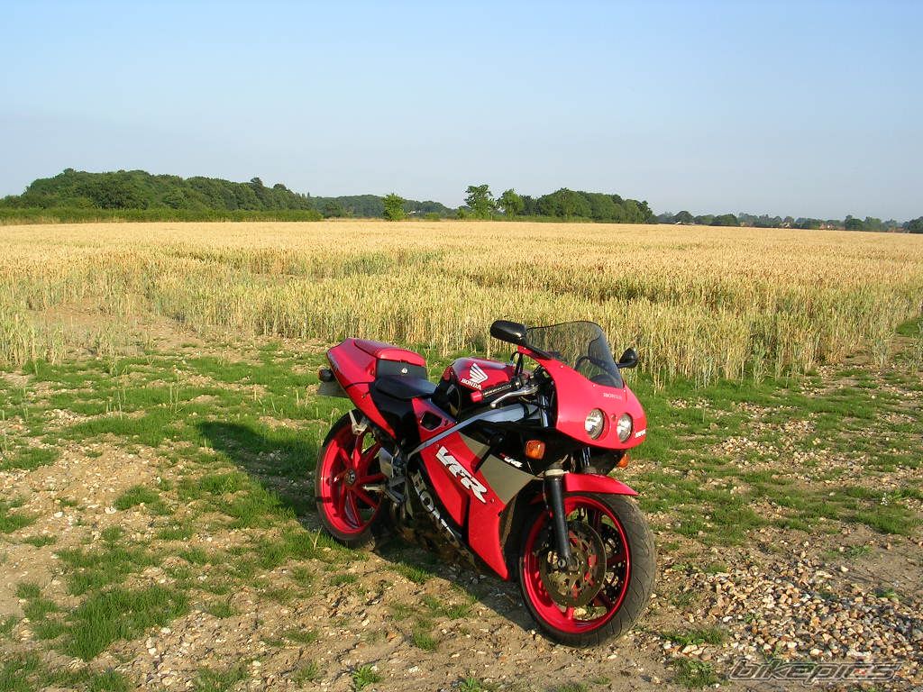 Photo 1368134