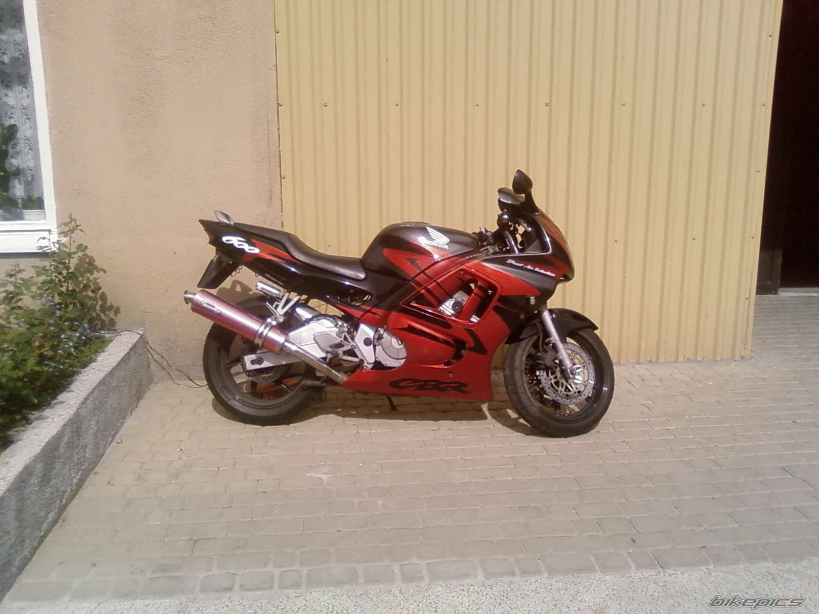 Photo 1368227