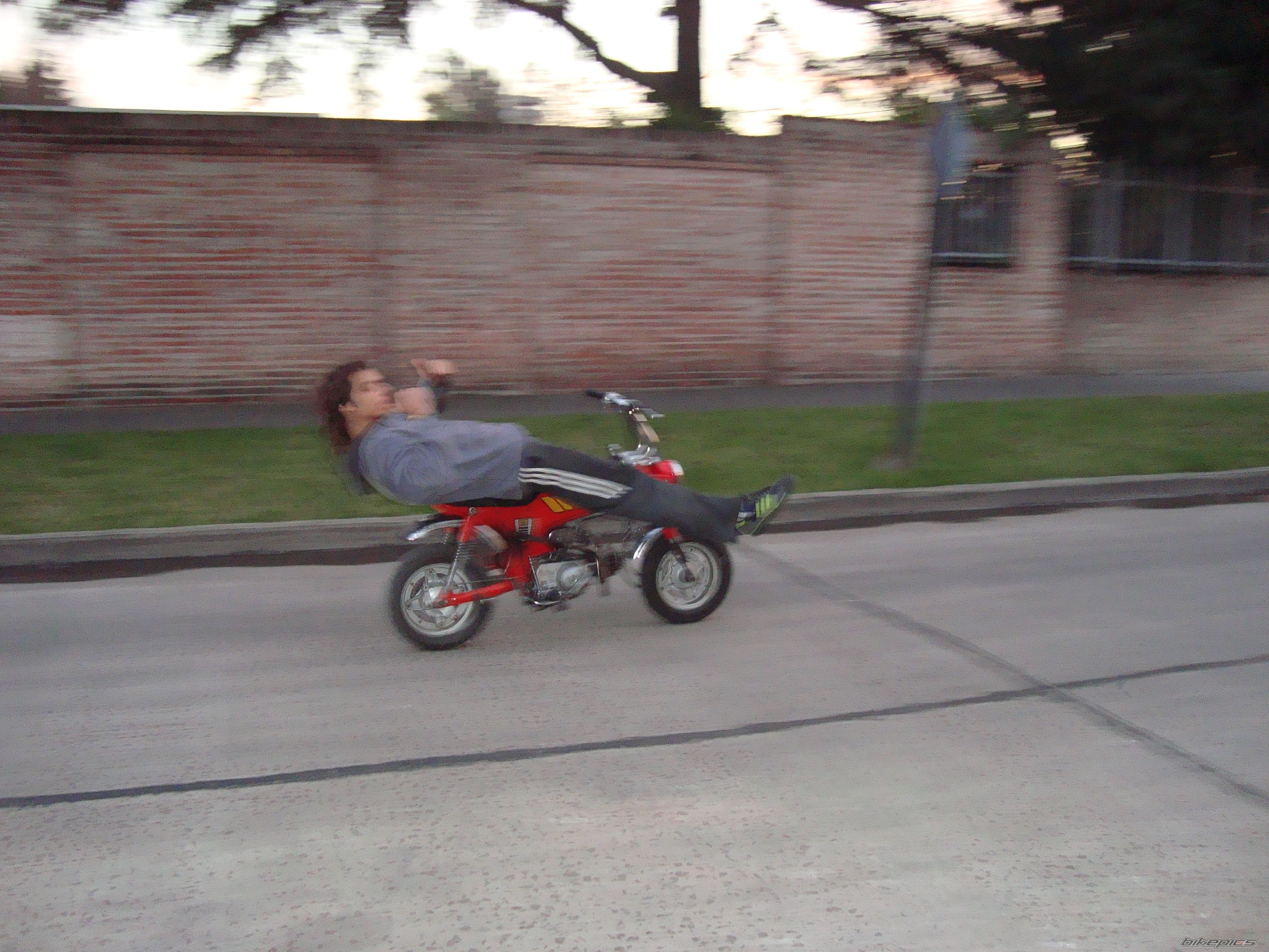 Photo 1368244