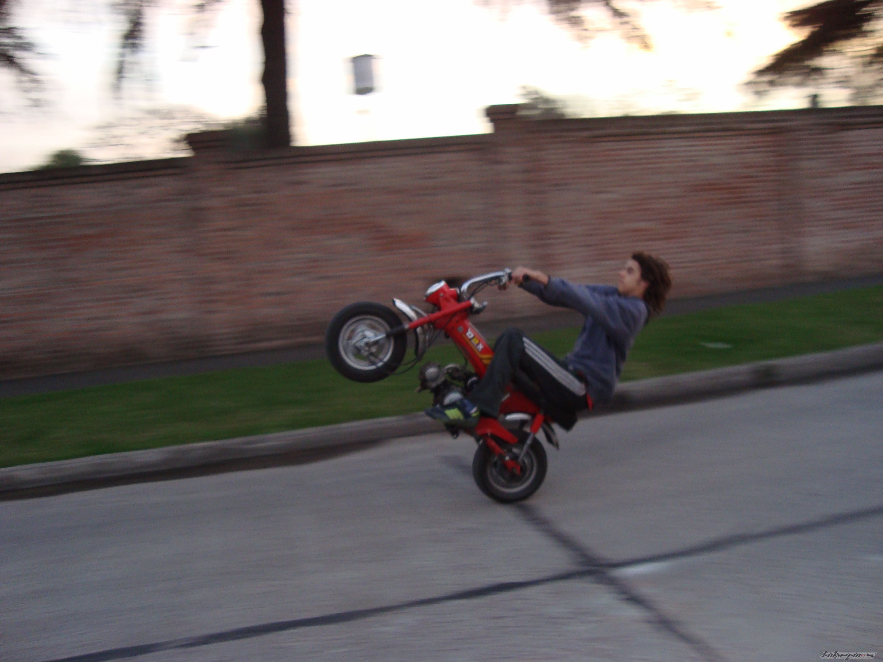 Photo 1368245
