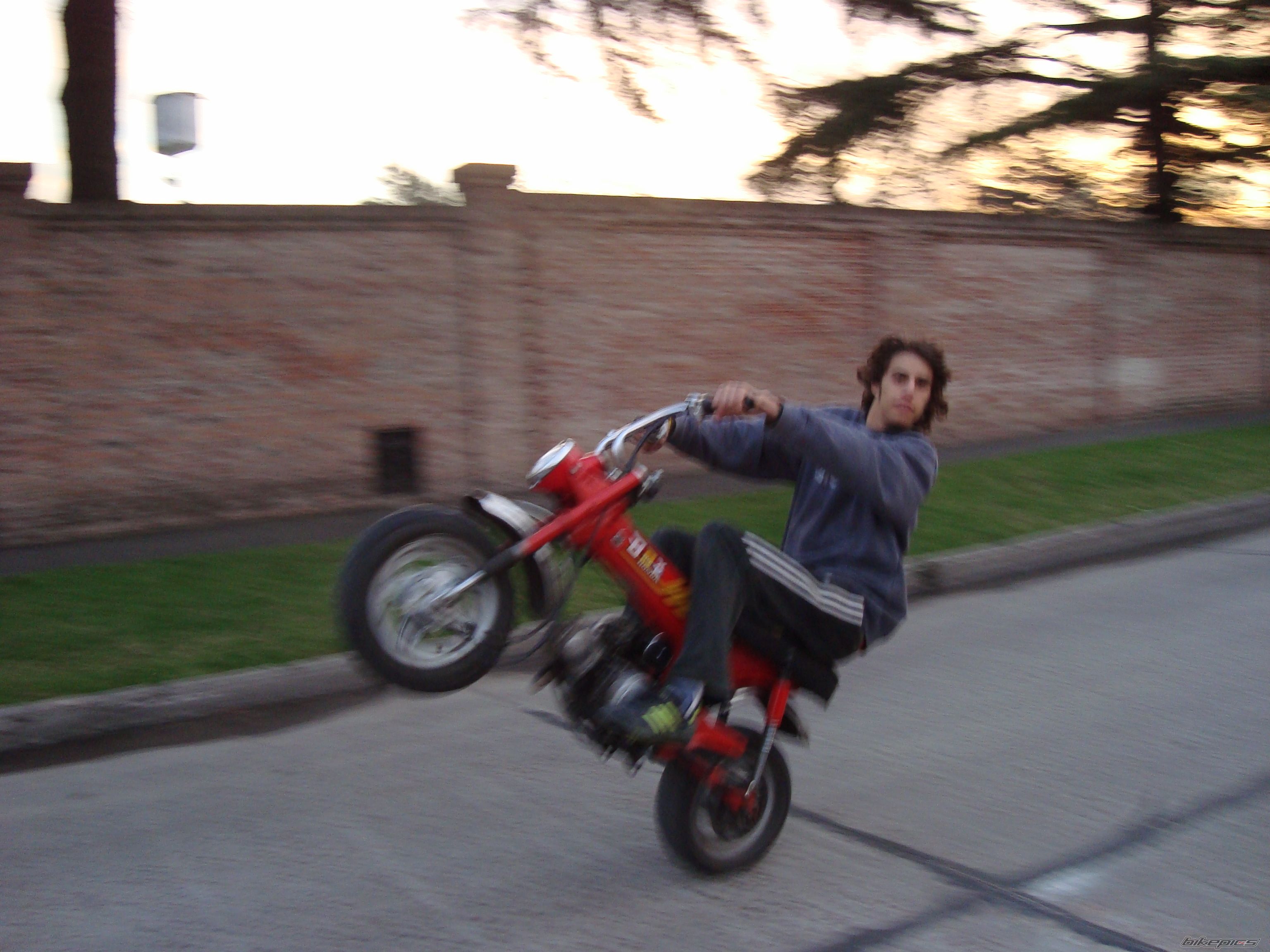 Photo 1368248