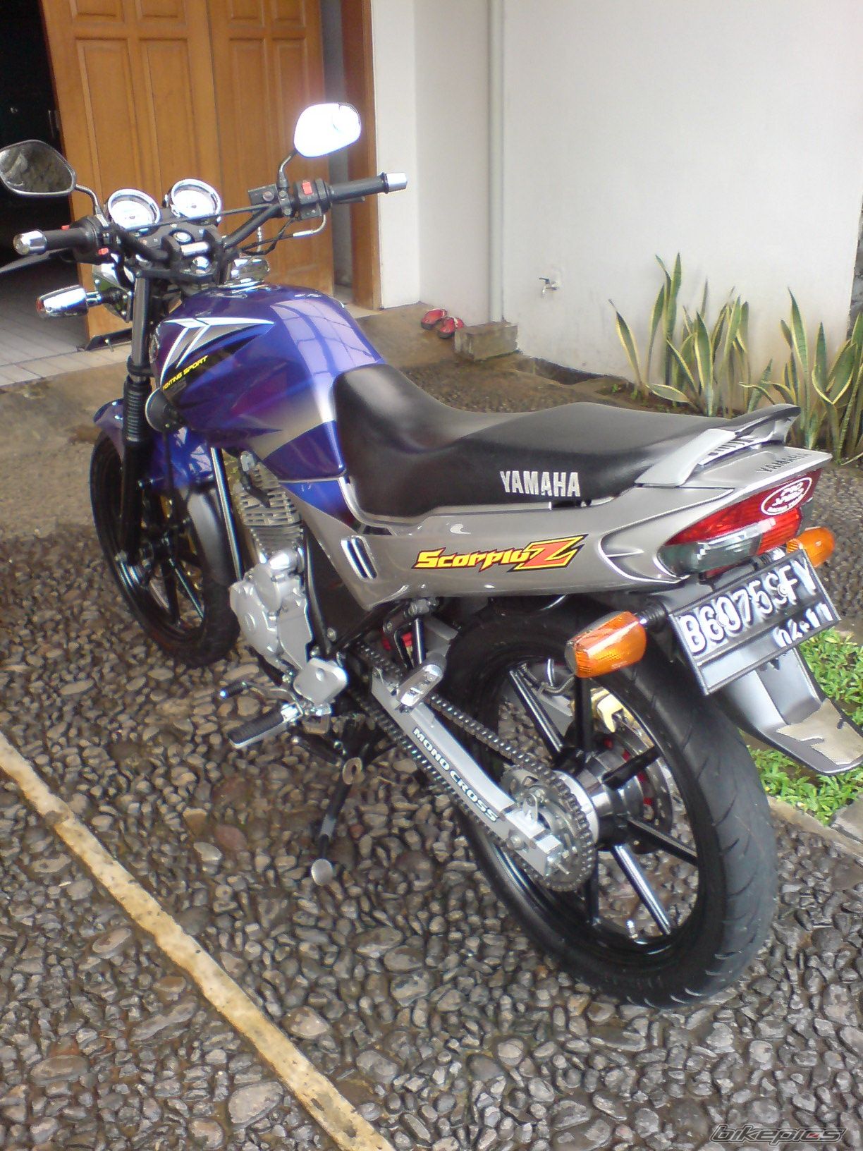 Photo 1368252