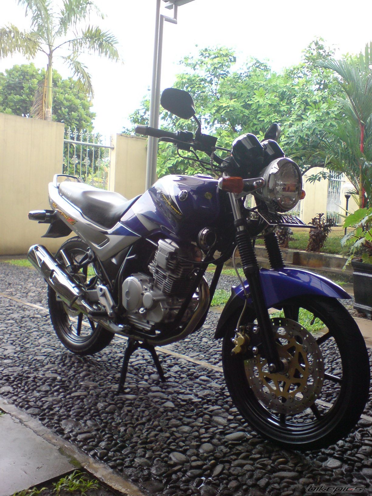 Photo 1368254