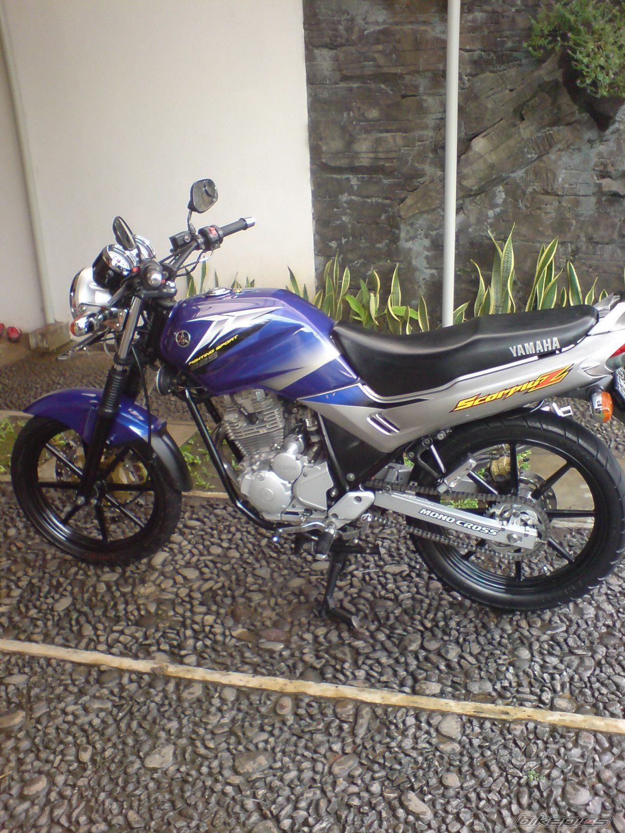 Photo 1368257