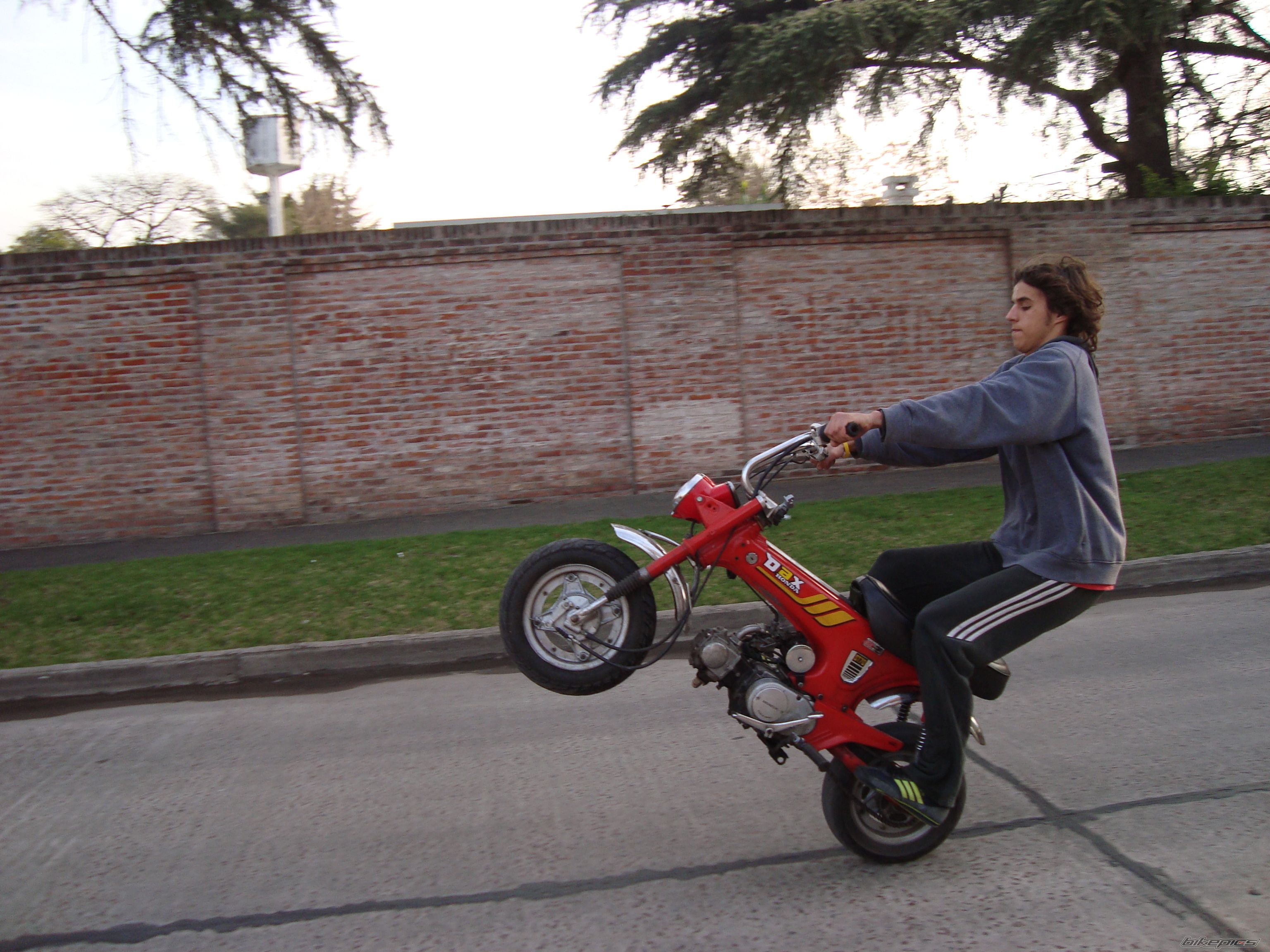 Photo 1368258