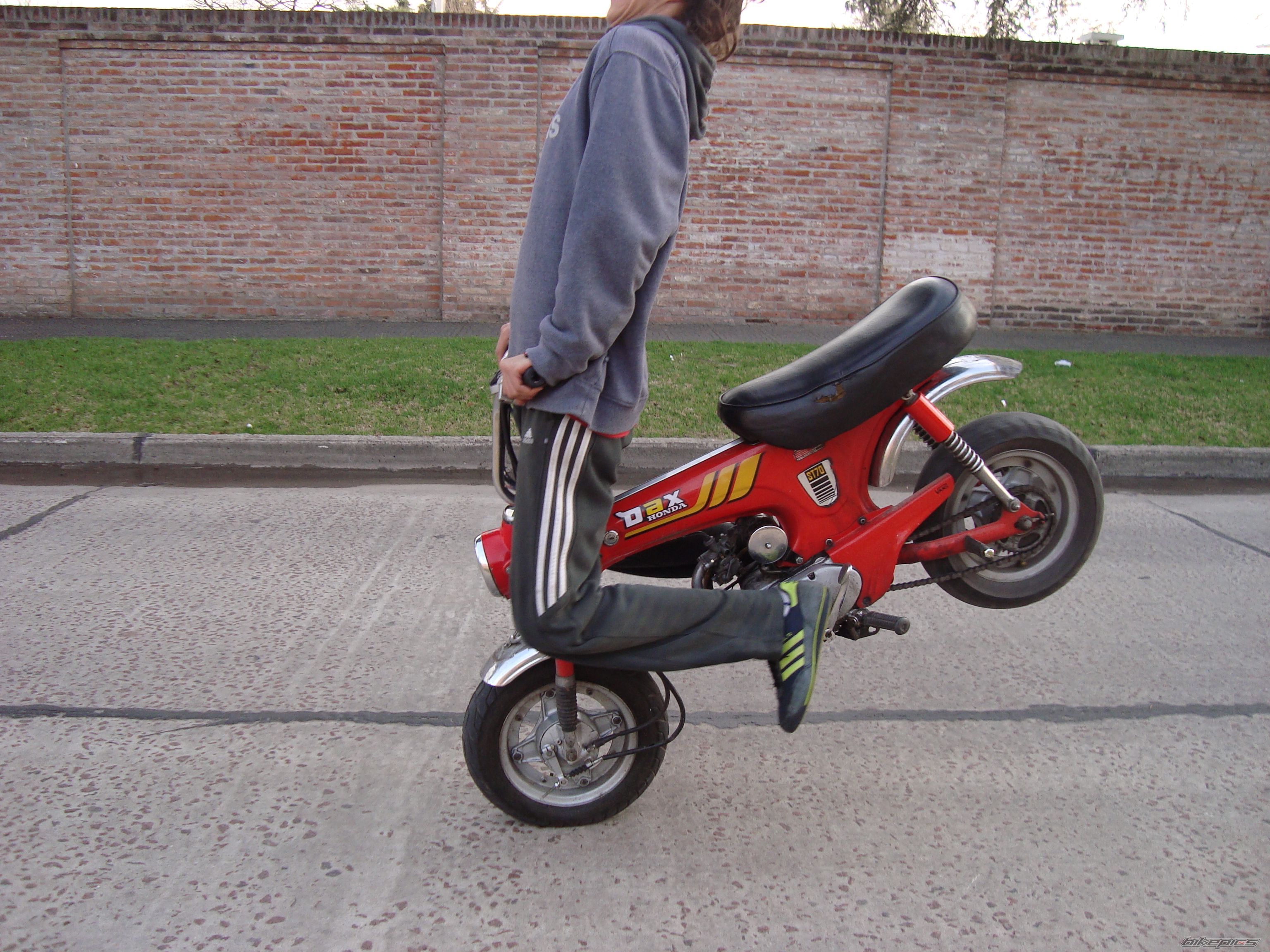 Photo 1368260