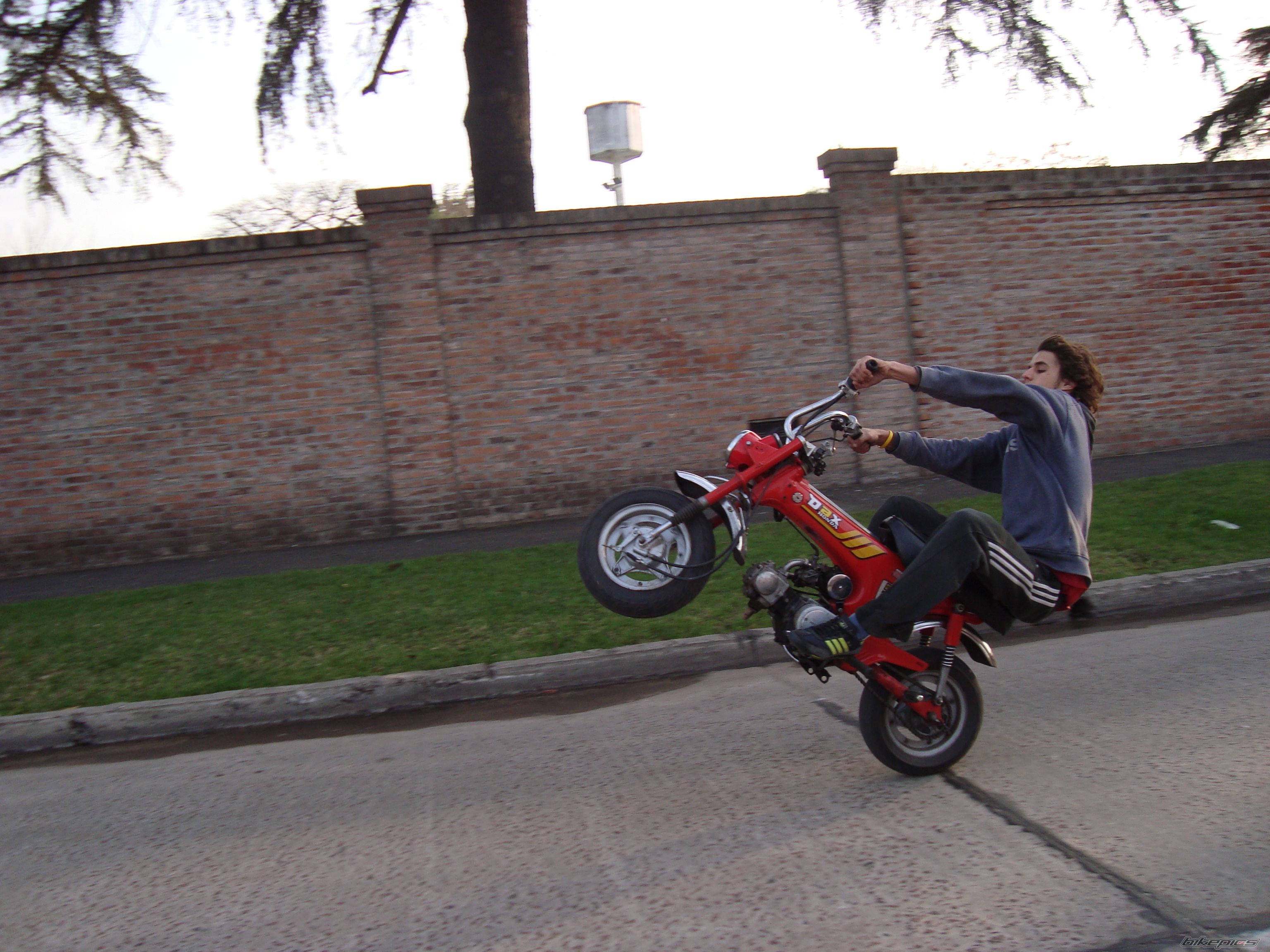 Photo 1368261