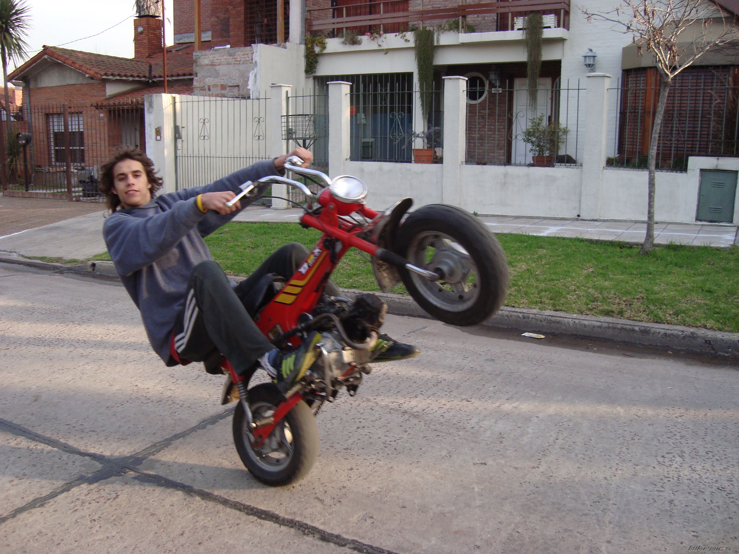 Photo 1368263