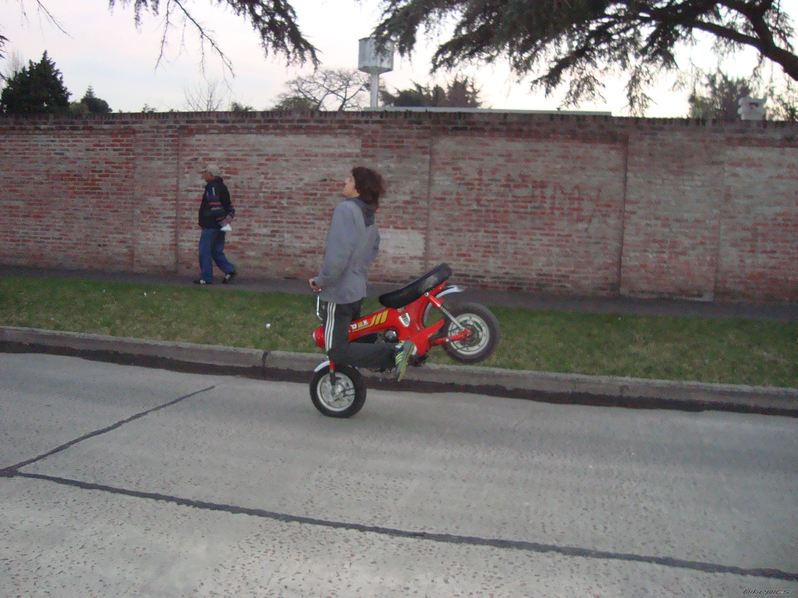Photo 1368266