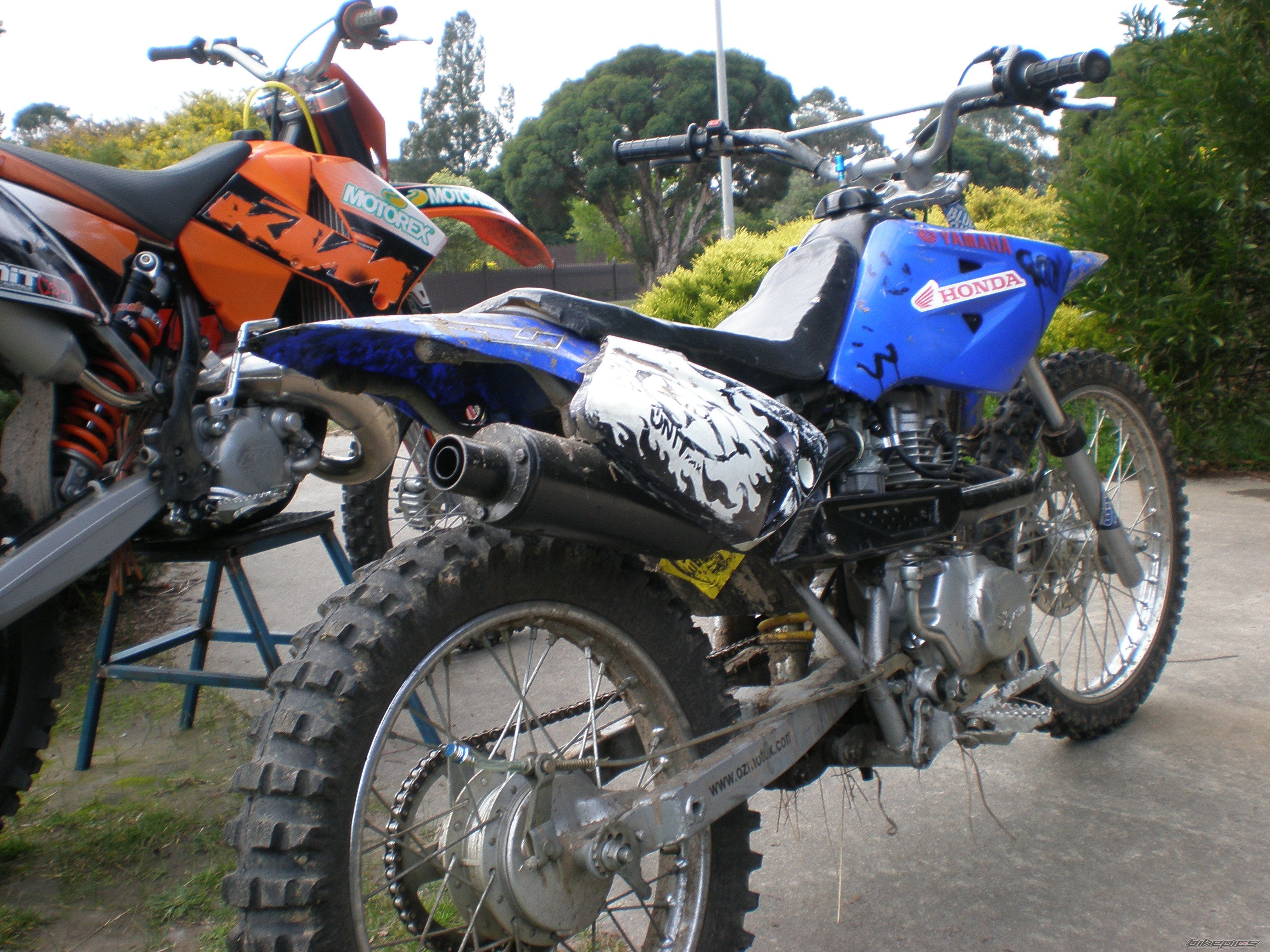 Photo 1368306