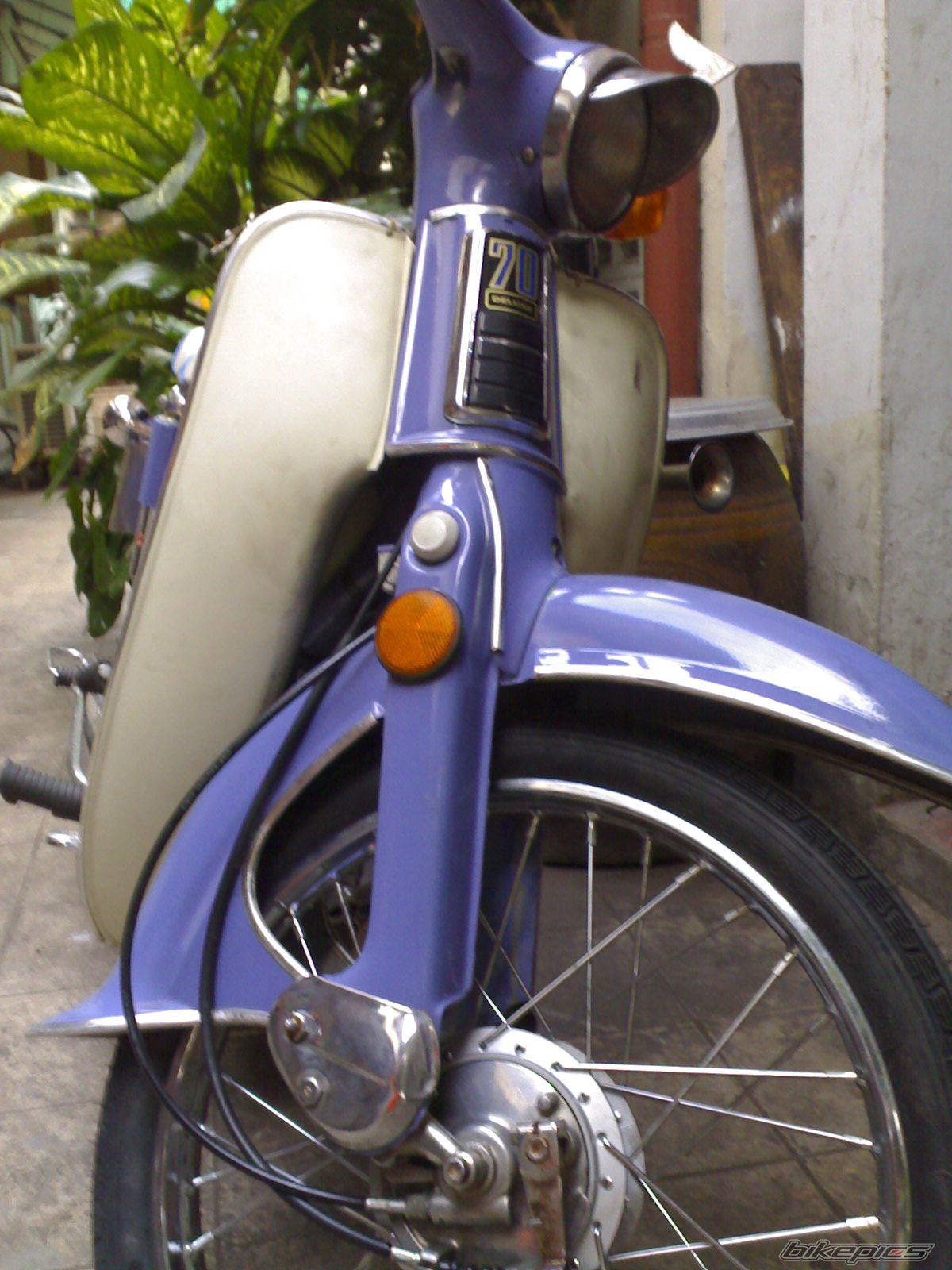 Photo 1368337