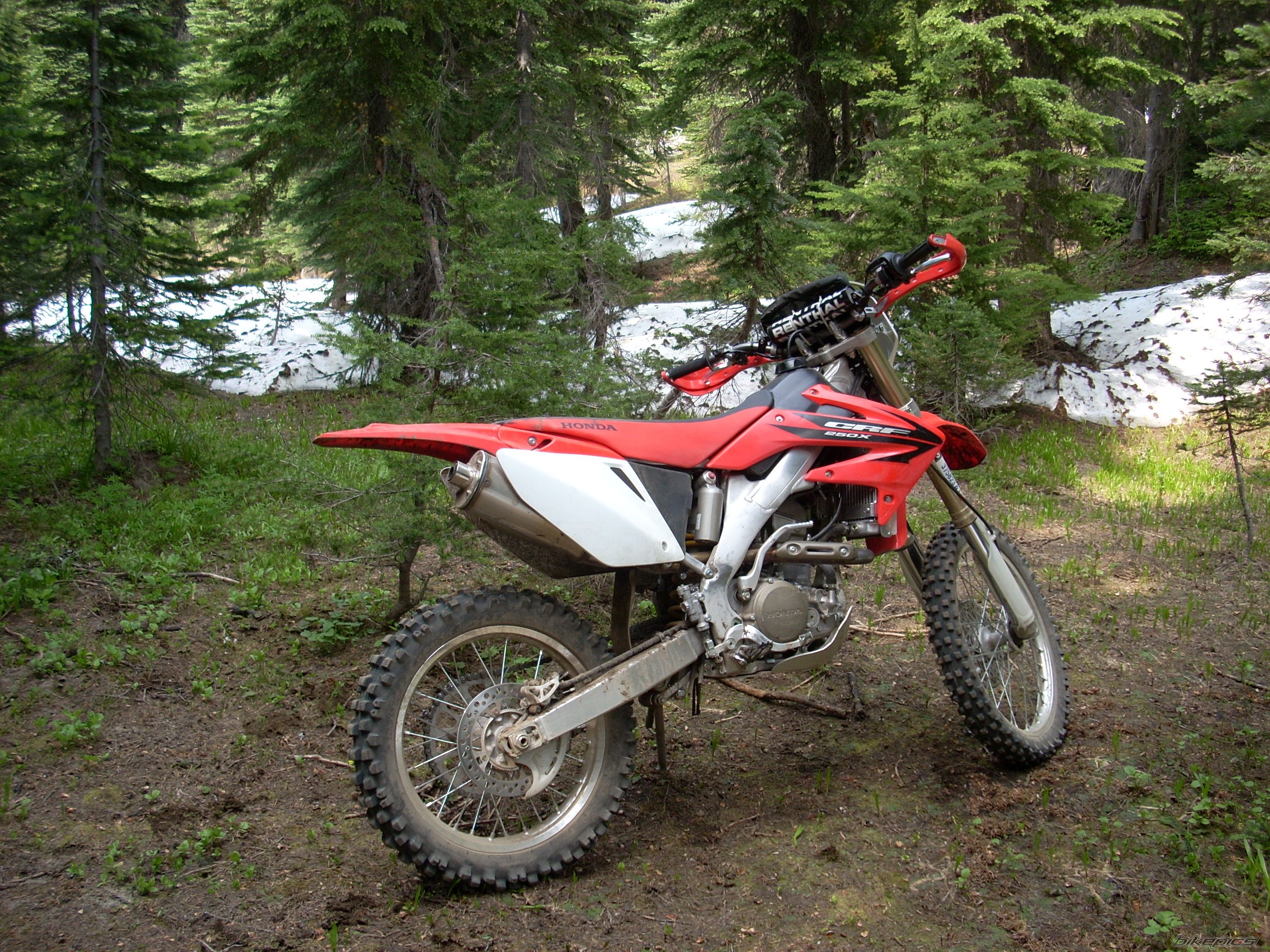Photo 1368377