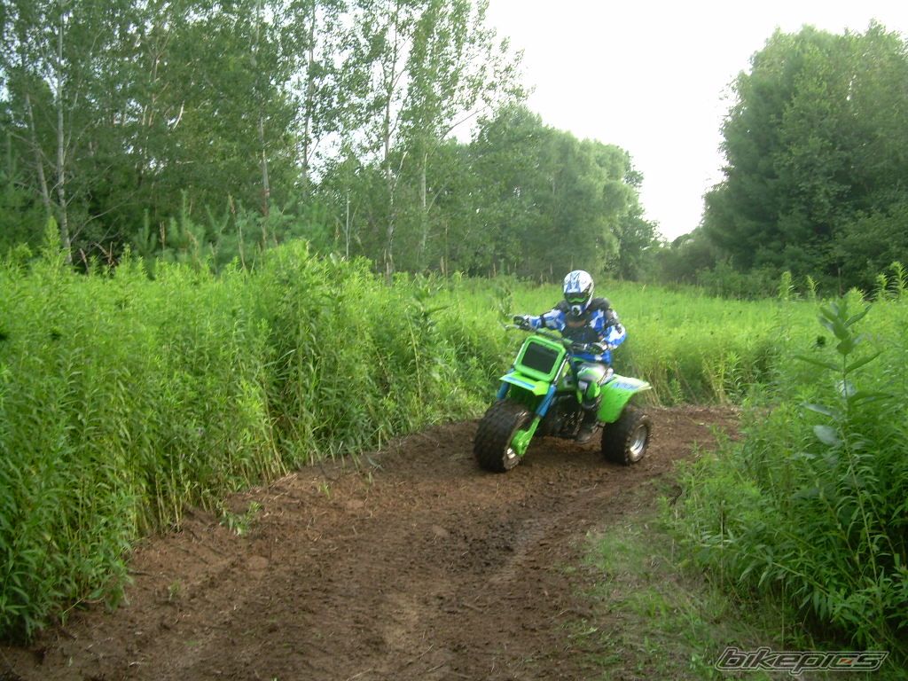 Photo 1368392
