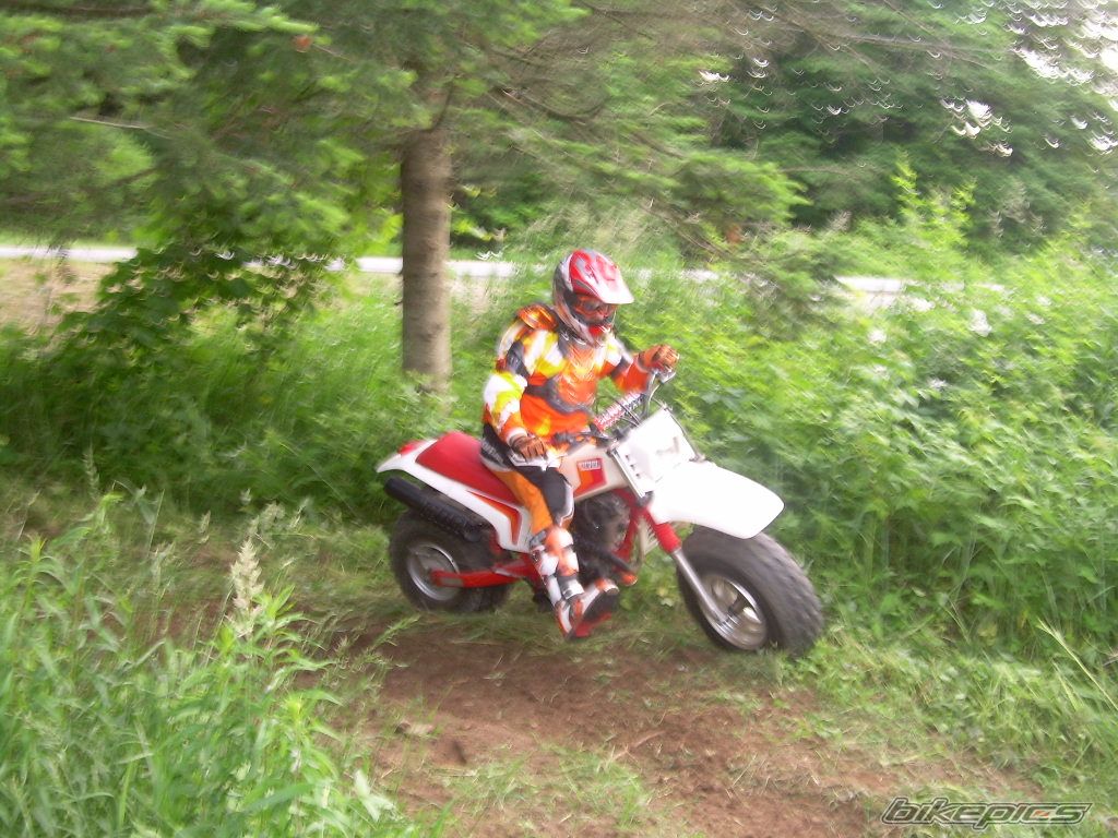 Photo 1368403