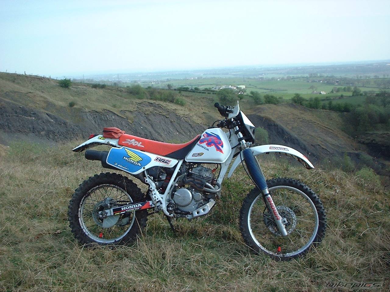Photo 136870