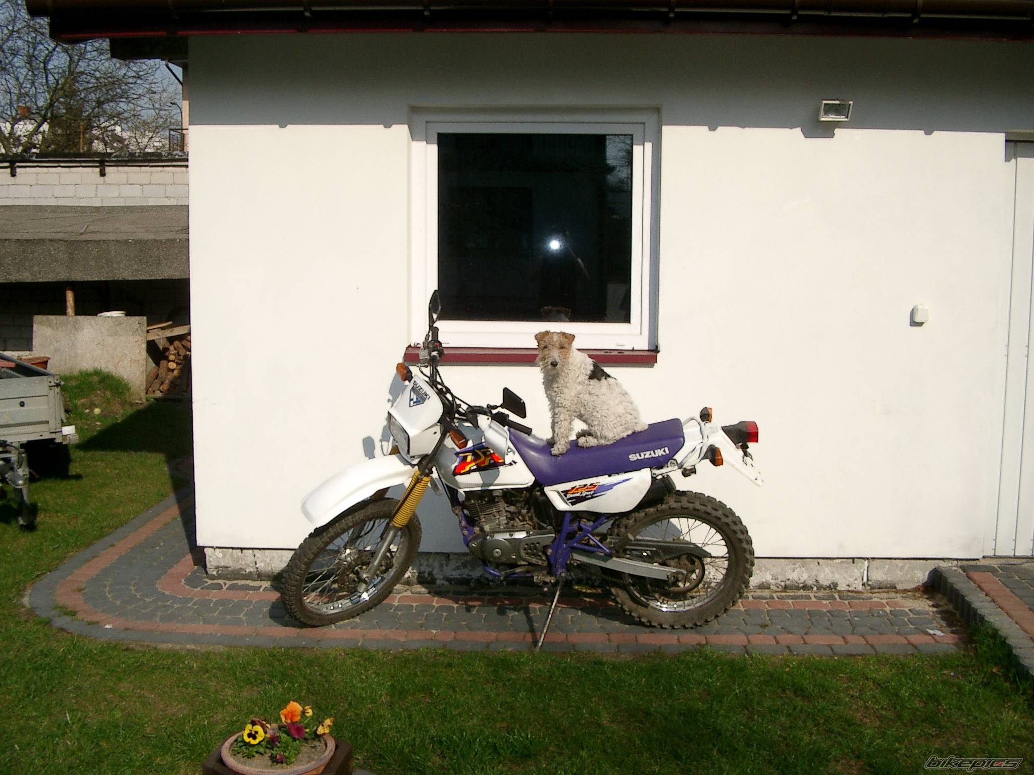 Bike Photo 136874