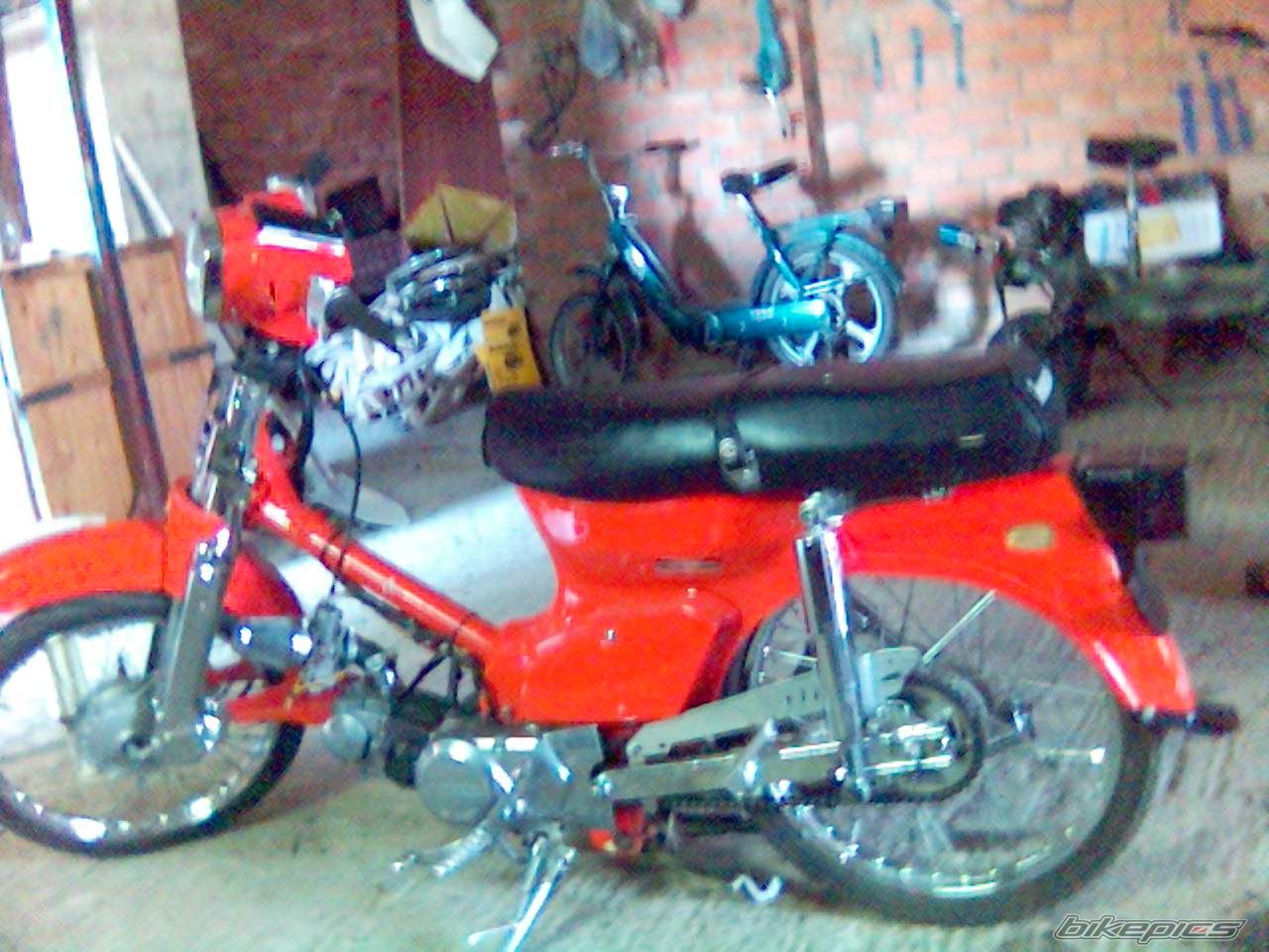 Photo 1368910