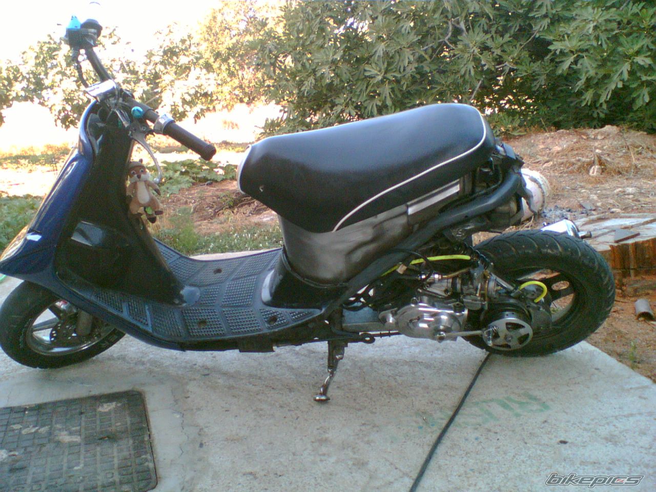 Photo 1368967