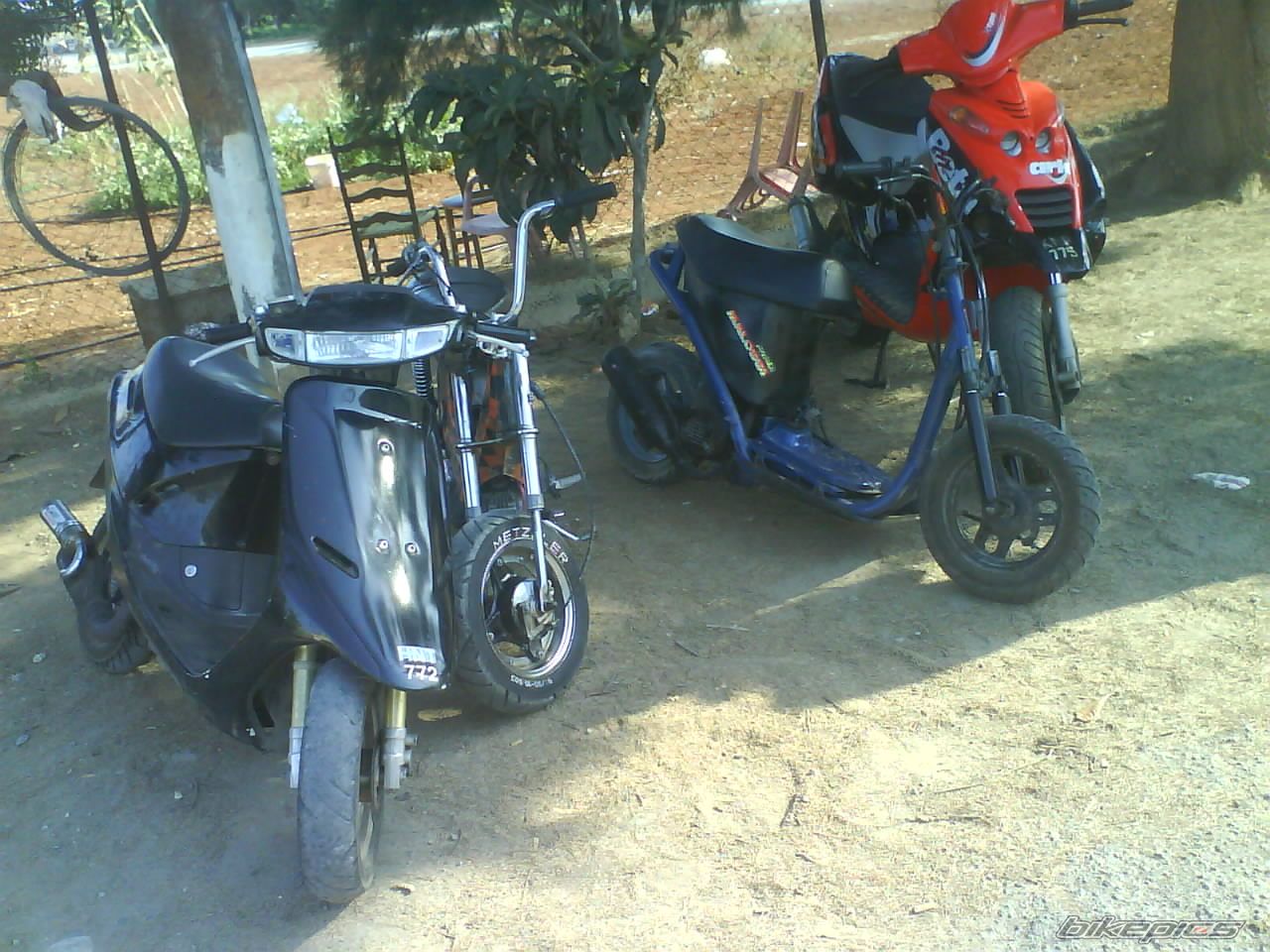 Photo 1368982
