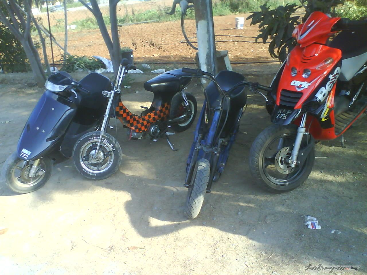 Photo 1368983