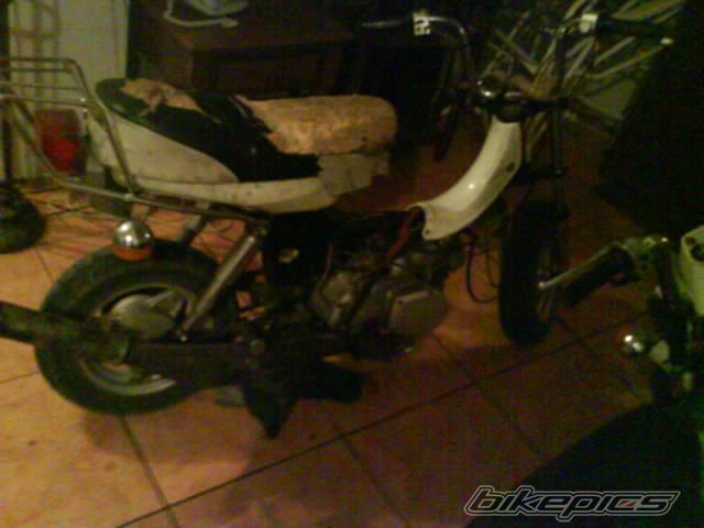 Photo 1369007