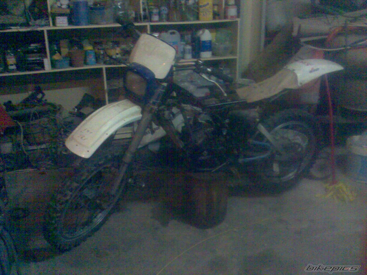 Bike Photo 1369032