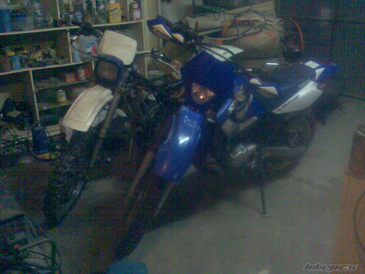 Photo 1369034