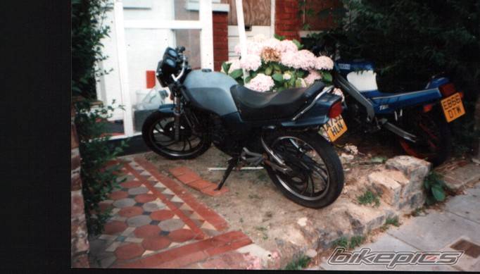 Photo 136906