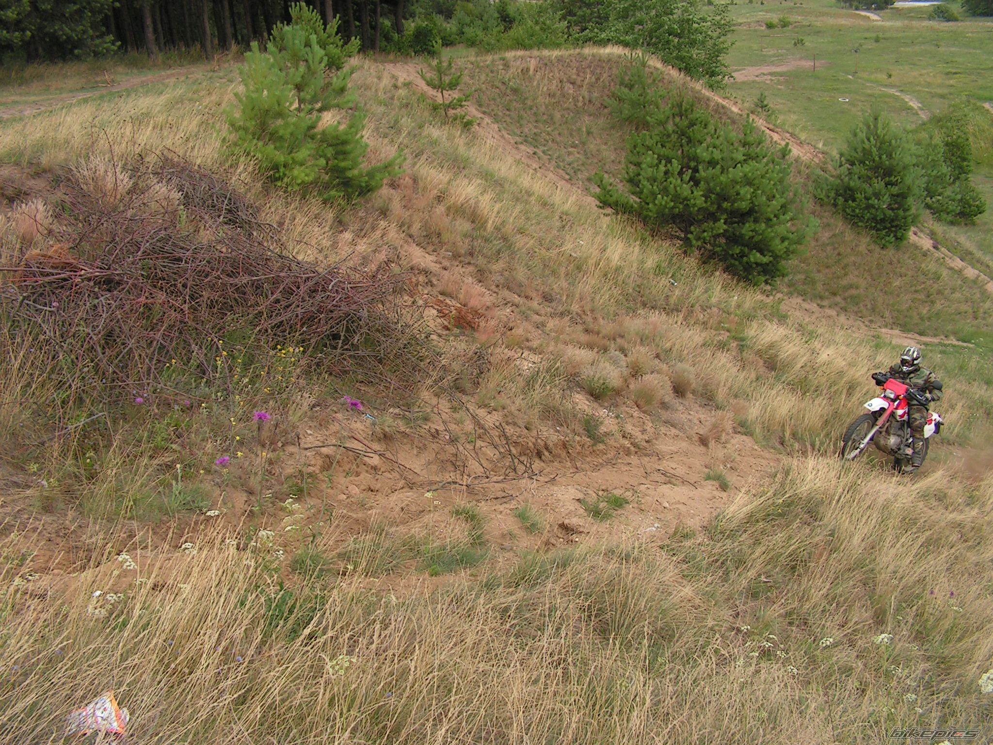 Photo 1369098