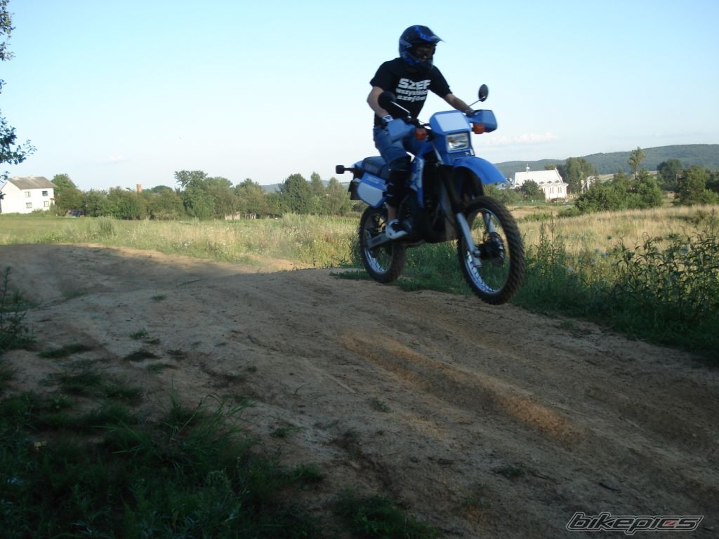 Photo 1369185