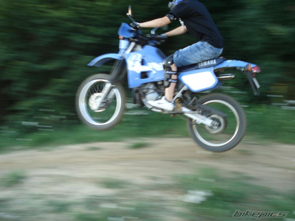 Photo 1369193